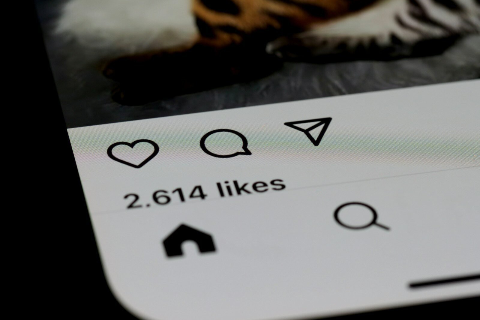 Entrepreneur looking at follower count growing on a phone screen