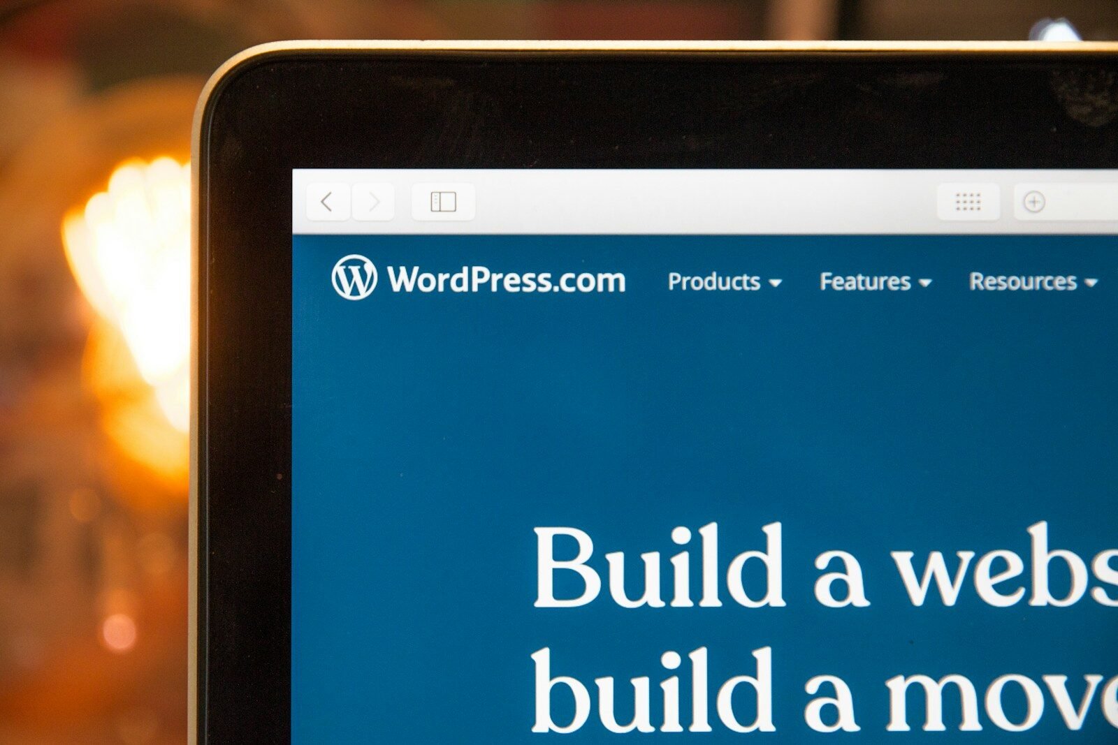 Business owner comparing WordPress theme options on a laptop